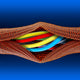 Black Orange / 6 FT / 0.5 in., Black Orange / 6 FT / 1 in., Black Orange / 10 FT / 0.5 in., Black Orange / 10 FT / 1 in., Black Orange / 25 FT / 0.5 in., Black Orange / 25 FT / 1 in.