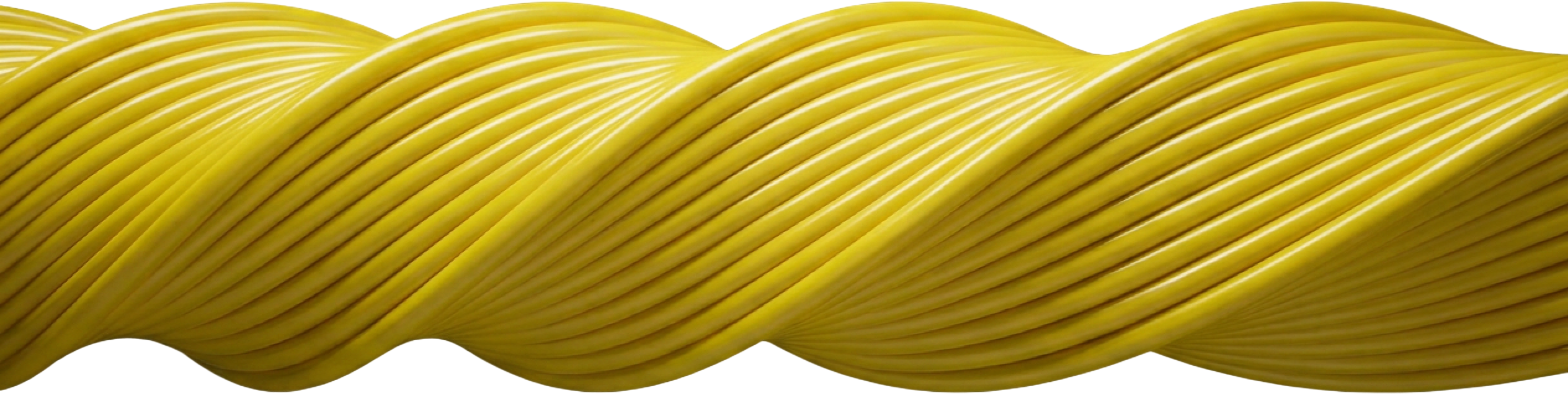 Footer Image